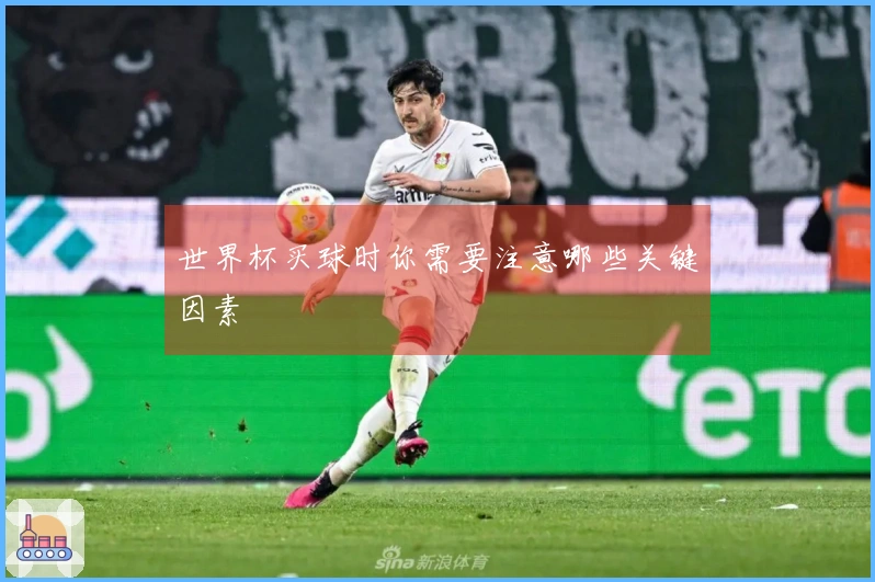 世界杯买球时你需要注意哪些关键因素