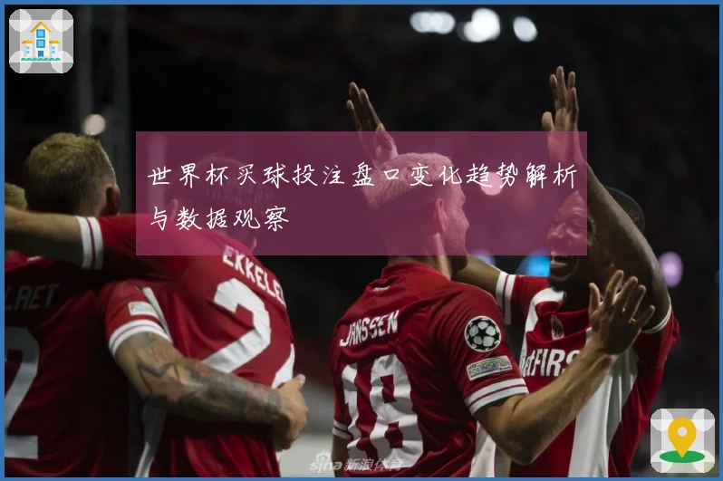 世界杯买球投注盘口变化趋势解析与数据观察