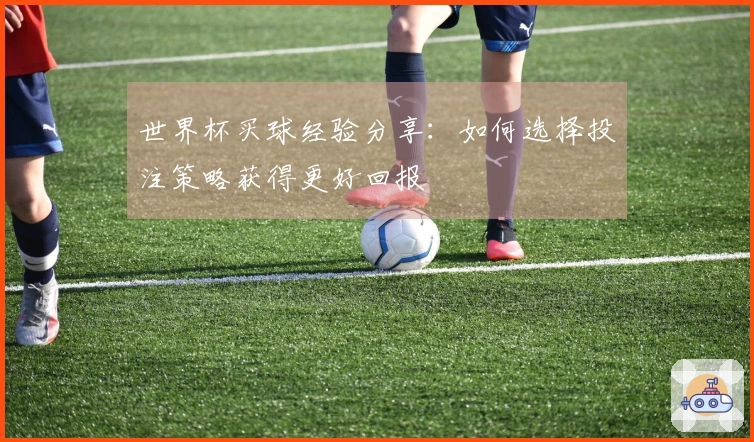 世界杯买球经验分享：如何选择投注策略获得更好回报