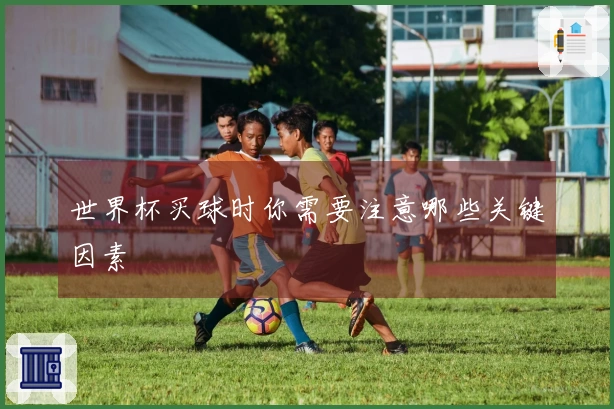 世界杯买球时你需要注意哪些关键因素